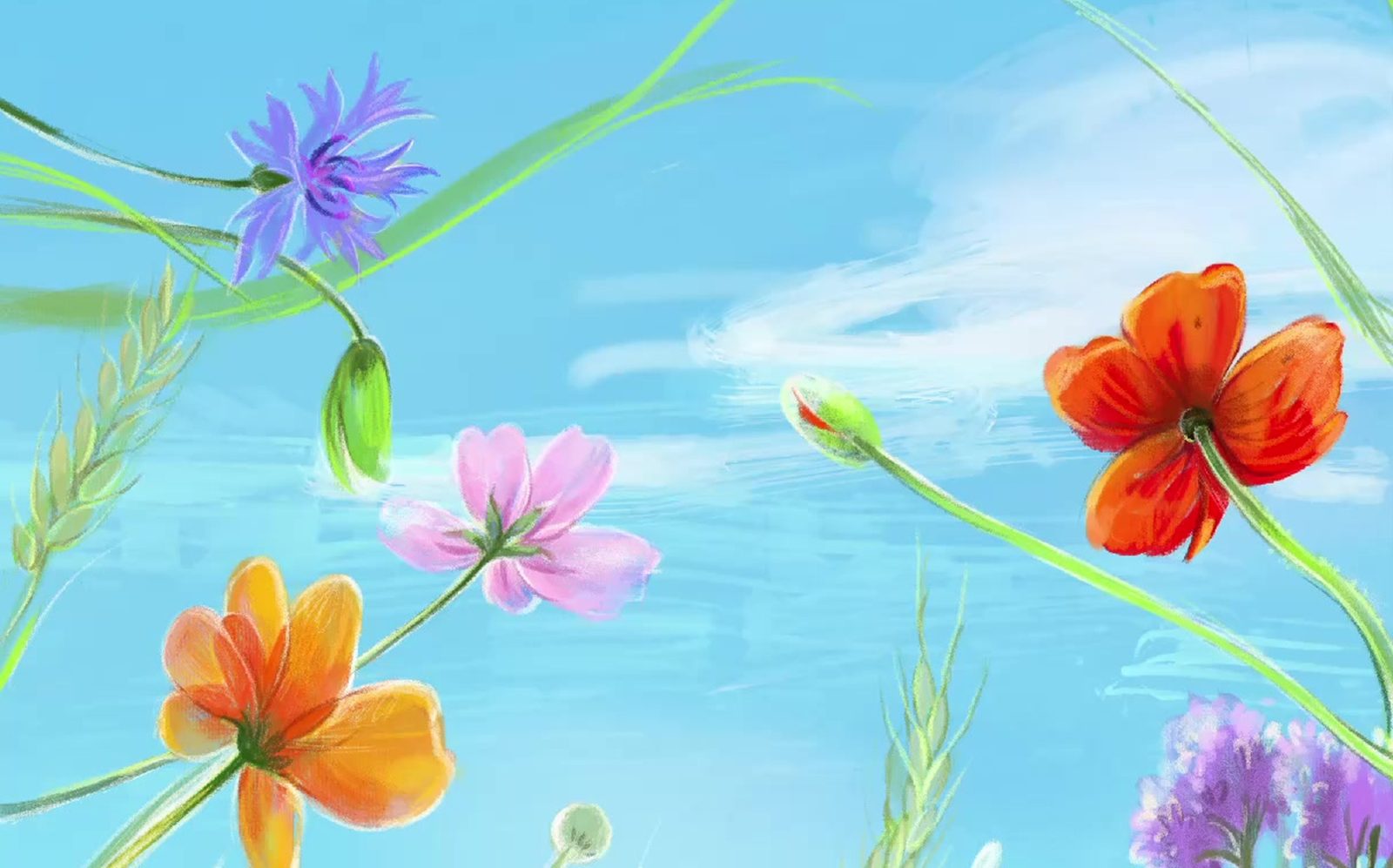 A field of flowers