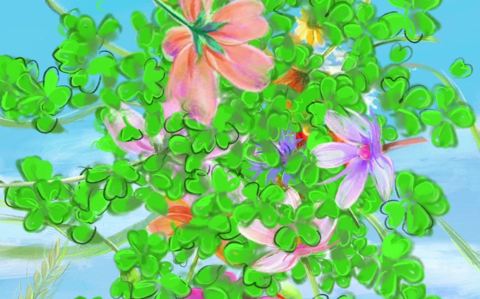 Clover blooms
